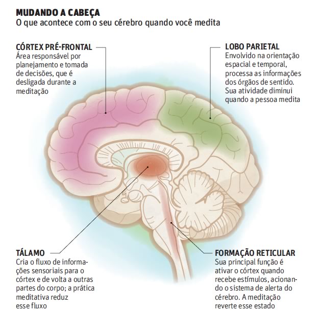 cerebro_meditacao